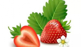 水莓100视频,揭秘神秘水莓世界的奇幻之旅