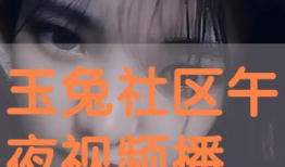 午夜视频在线,揭秘网络直播的神秘世界